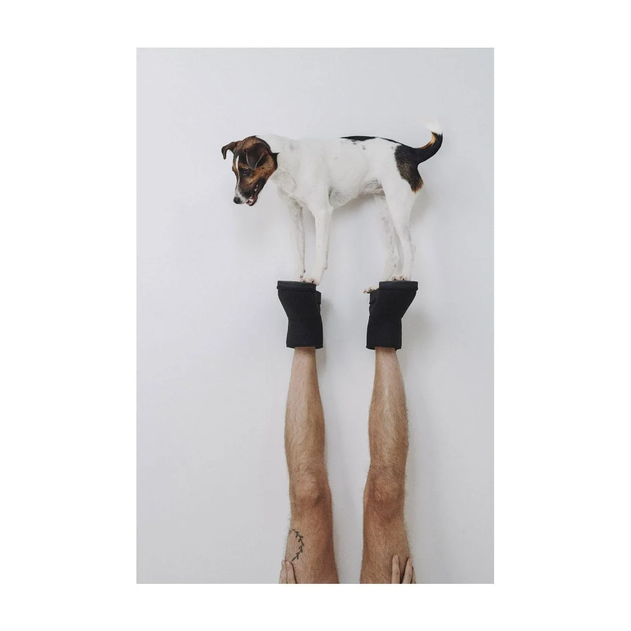Classic Crystal Unisex Vegan Faux Fur Lined Short Boots | Multiple Colours