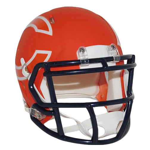 David Montgomery Autographed Chicago Bears Orange Amp Football Mini Helmet (JSA)